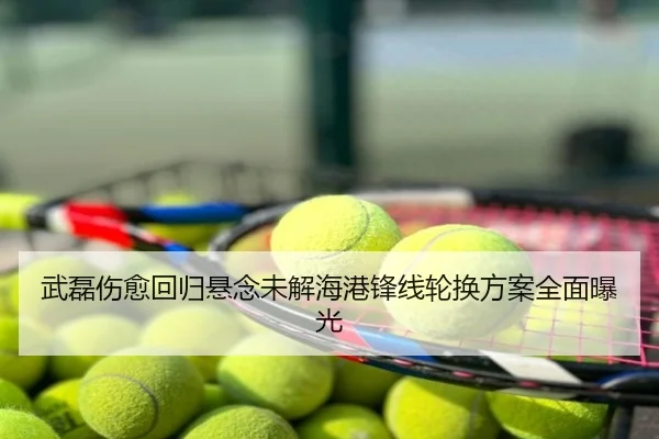 武磊伤愈回归悬念未解海港锋线轮换方案全面曝光
